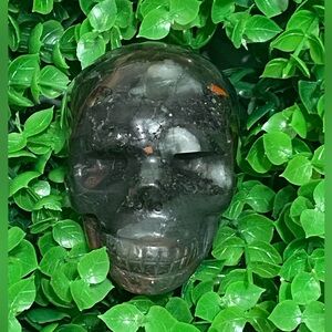 African Blood Skull Craving